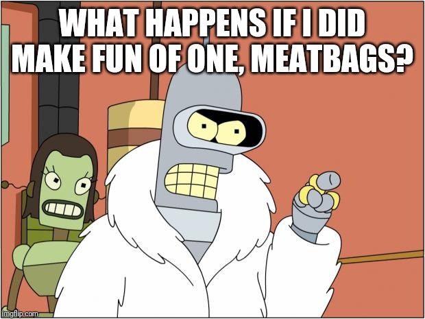 Bender Meme | WHAT HAPPENS IF I DID MAKE FUN OF ONE, MEATBAGS? | image tagged in memes,bender | made w/ Imgflip meme maker