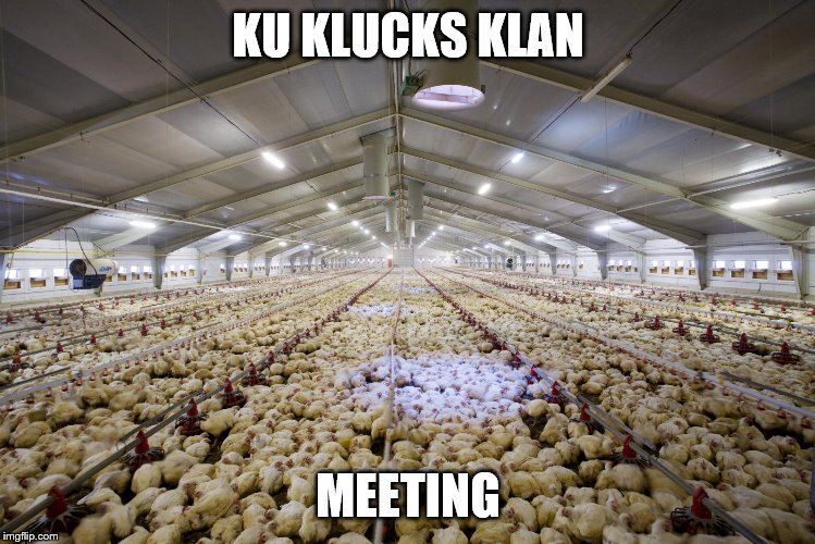 Wing night | KU KLUCKS KLAN; MEETING | image tagged in wing night | made w/ Imgflip meme maker