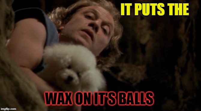 Silence of the lambs lotion | IT PUTS THE; WAX ON IT'S BALLS | image tagged in silence of the lambs lotion | made w/ Imgflip meme maker