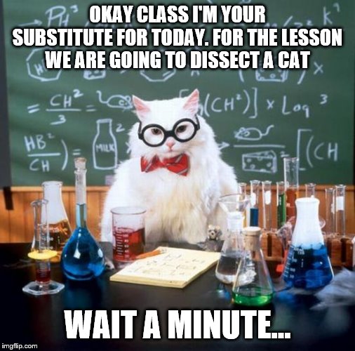 Why do I have the feeling that dog lied to me about this job? | OKAY CLASS I'M YOUR SUBSTITUTE FOR TODAY. FOR THE LESSON WE ARE GOING TO DISSECT A CAT; WAIT A MINUTE... | image tagged in memes,chemistry cat | made w/ Imgflip meme maker