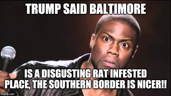 Kev Hart Blank Stare | TRUMP SAID BALTIMORE; IS A DISGUSTING RAT INFESTED PLACE, THE SOUTHERN BORDER IS NICER!! | image tagged in kev hart blank stare | made w/ Imgflip meme maker