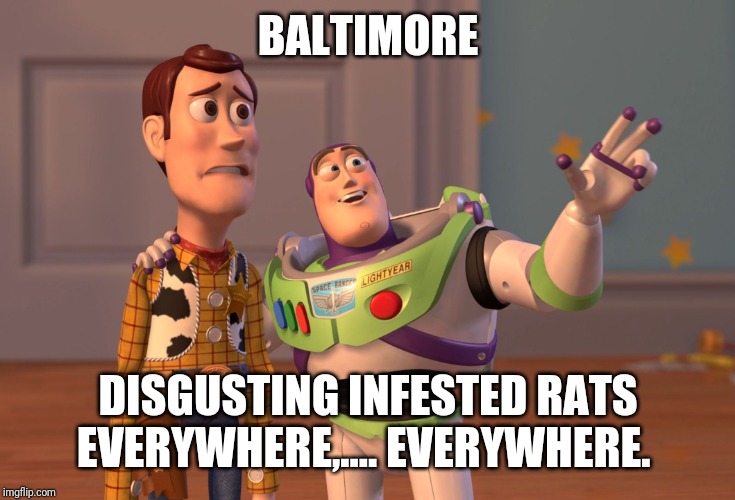 X, X Everywhere Meme | BALTIMORE; DISGUSTING INFESTED RATS EVERYWHERE,.... EVERYWHERE. | image tagged in memes,x x everywhere | made w/ Imgflip meme maker