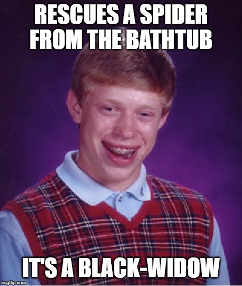 Bad Luck Brian | RESCUES A SPIDER FROM THE BATHTUB; IT'S A BLACK-WIDOW | image tagged in memes,bad luck brian | made w/ Imgflip meme maker
