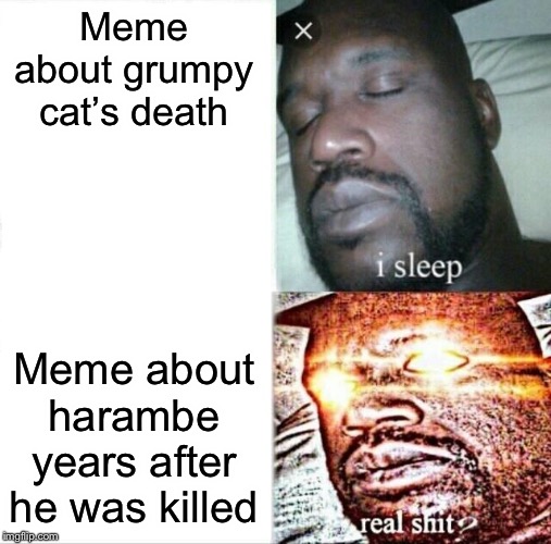 Yep | Meme about grumpy cat’s death; Meme about harambe years after he was killed | image tagged in memes,sleeping shaq,dank memes,hahaha,haha,harambe | made w/ Imgflip meme maker