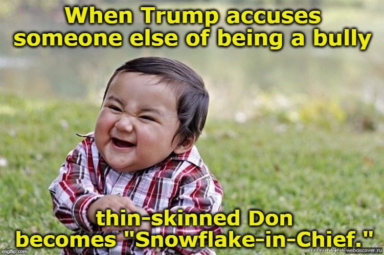 Irony in its purest form | When Trump accuses someone else of being a bully; thin-skinned Don becomes "Snowflake-in-Chief." | image tagged in evil child,trump,bully,snowflake | made w/ Imgflip meme maker
