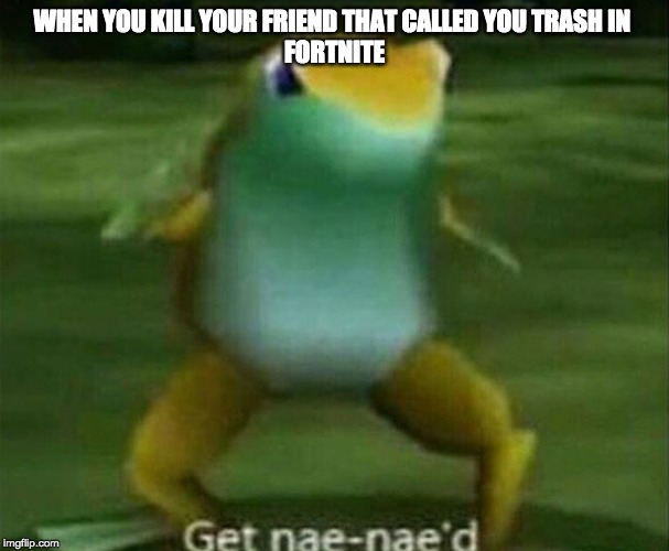 Get nae-nae'd | WHEN YOU KILL YOUR FRIEND THAT CALLED YOU TRASH IN 
FORTNITE | image tagged in get nae-nae'd | made w/ Imgflip meme maker