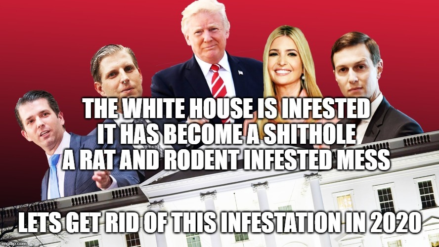 A Rat And Rodent Infested Mess | image tagged in rat,rodent,infested,trump,2020,shithole | made w/ Imgflip meme maker