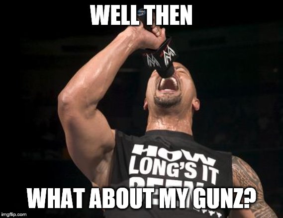 the rock finally | WELL THEN WHAT ABOUT MY GUNZ? | image tagged in the rock finally | made w/ Imgflip meme maker