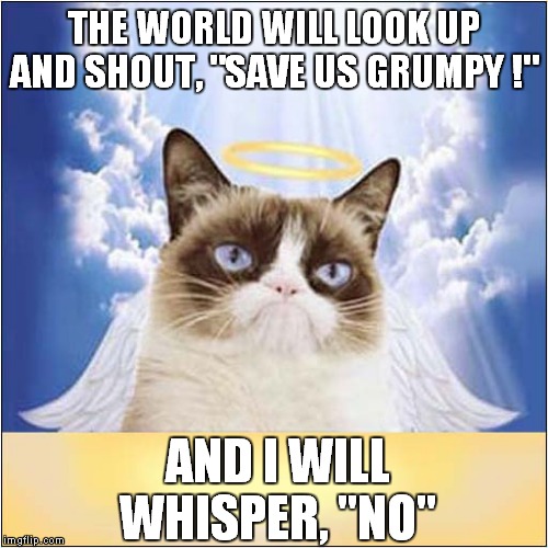 Grumpy,  Our Saviour | THE WORLD WILL LOOK UP AND SHOUT, "SAVE US GRUMPY !"; AND I WILL WHISPER, "NO" | image tagged in cat,grumpy cat | made w/ Imgflip meme maker