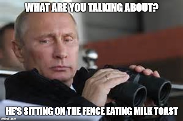 Putin Binoculars | WHAT ARE YOU TALKING ABOUT? HE'S SITTING ON THE FENCE EATING MILK TOAST | made w/ Imgflip meme maker