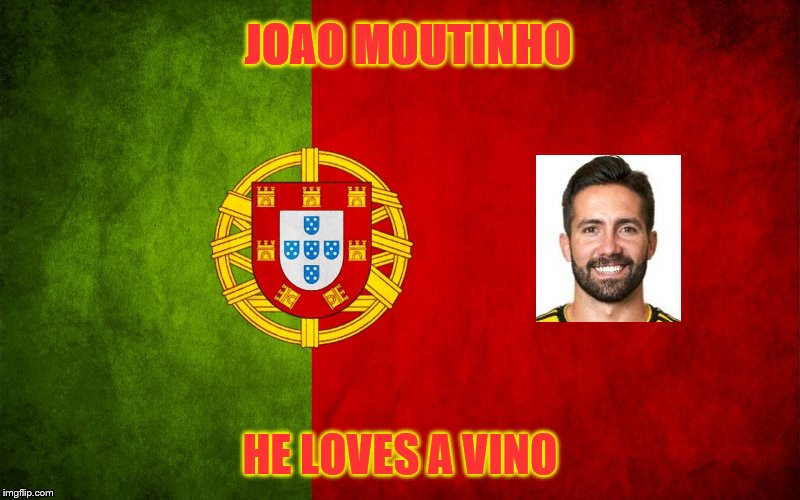 Portugal flag | JOAO MOUTINHO; HE LOVES A VINO | image tagged in portugal flag | made w/ Imgflip meme maker