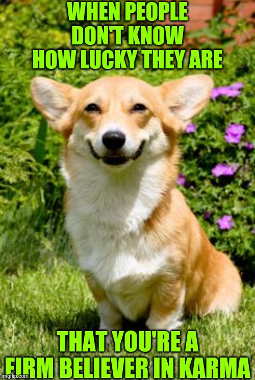 mischievous corgi  | WHEN PEOPLE DON'T KNOW HOW LUCKY THEY ARE; THAT YOU'RE A FIRM BELIEVER IN KARMA | image tagged in mischievous corgi | made w/ Imgflip meme maker