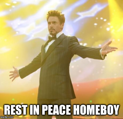 Robert Downey Jr Iron Man | REST IN PEACE HOMEBOY | image tagged in robert downey jr iron man | made w/ Imgflip meme maker