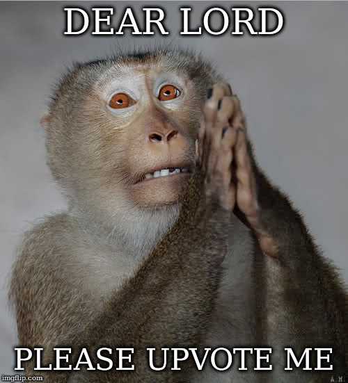 dear lord please upvote | DEAR LORD; PLEASE UPVOTE ME | image tagged in upvote me,upvote,lord | made w/ Imgflip meme maker