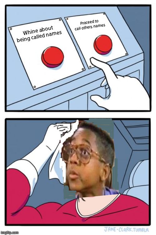 Two Buttons Meme | Whine about being called names Proceed to call others names | image tagged in memes,two buttons | made w/ Imgflip meme maker