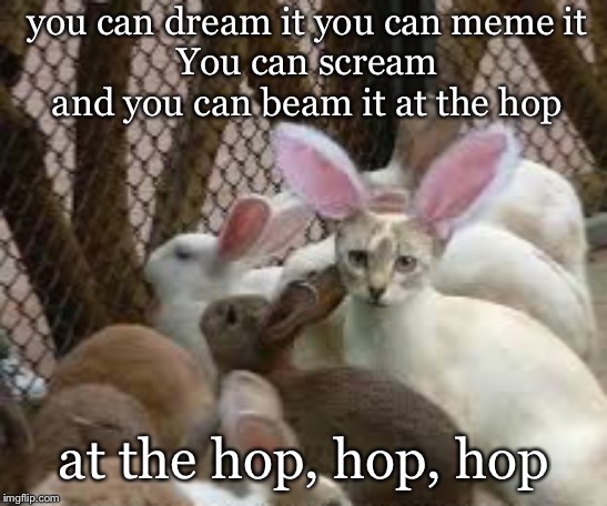 you can dream it you can meme it
You can scream and you can beam it at the hop at the hop, hop, hop | made w/ Imgflip meme maker