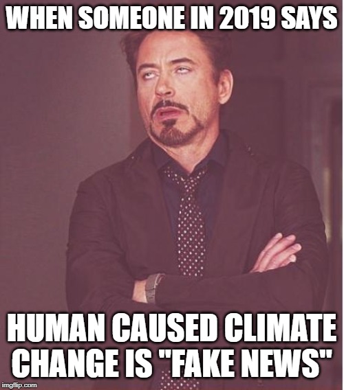 WHEN SOMEONE IN 2019 SAYS HUMAN CAUSED CLIMATE CHANGE IS "FAKE NEWS" | image tagged in memes,face you make robert downey jr | made w/ Imgflip meme maker