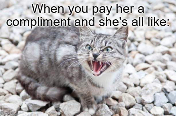 Be careful of whom you're nice to! | When you pay her a compliment and she's all like: | image tagged in hissing cat,memes | made w/ Imgflip meme maker