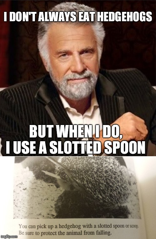 I DON'T ALWAYS EAT HEDGEHOGS; BUT WHEN I DO, I USE A SLOTTED SPOON | image tagged in world's most interesting man,hedgehog,eat,eating,spoon,funny meme | made w/ Imgflip meme maker