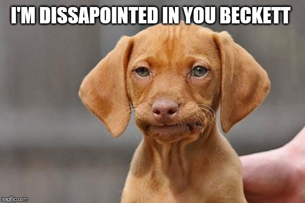 Dissapointed puppy | I'M DISSAPOINTED IN YOU BECKETT | image tagged in dissapointed puppy | made w/ Imgflip meme maker