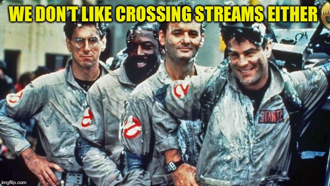 ghostbusters | WE DON’T LIKE CROSSING STREAMS EITHER | image tagged in ghostbusters | made w/ Imgflip meme maker