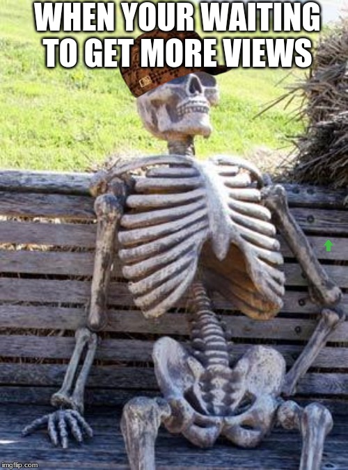 Waiting Skeleton Meme | WHEN YOUR WAITING TO GET MORE VIEWS | image tagged in memes,waiting skeleton | made w/ Imgflip meme maker