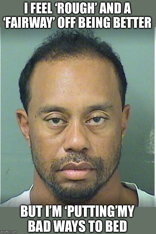 Tiger Woods Mug Shot  | BUT I’M ‘PUTTING’MY BAD WAYS TO BED I FEEL ‘ROUGH’ AND A ‘FAIRWAY’ OFF BEING BETTER | image tagged in tiger woods mug shot | made w/ Imgflip meme maker