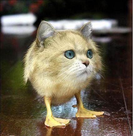 image tagged in funny