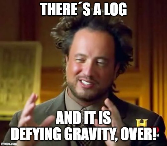 Ancient Aliens | THERE´S A LOG; AND IT IS DEFYING GRAVITY, OVER! | image tagged in memes,ancient aliens | made w/ Imgflip meme maker