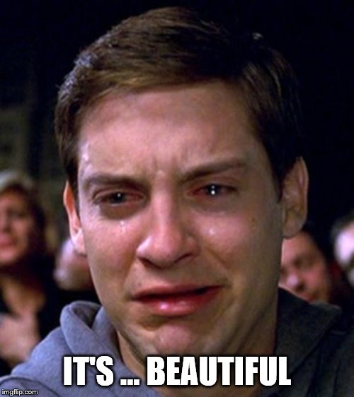 crying peter parker | IT'S … BEAUTIFUL | image tagged in crying peter parker | made w/ Imgflip meme maker