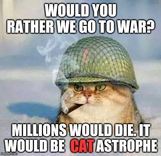War Cat | WOULD YOU RATHER WE GO TO WAR? MILLIONS WOULD DIE. IT WOULD BE            ASTROPHE CAT | image tagged in war cat | made w/ Imgflip meme maker