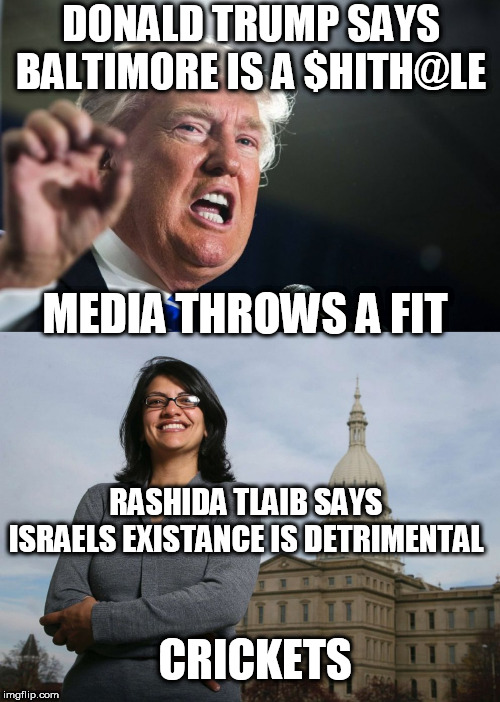 DONALD TRUMP SAYS BALTIMORE IS A $HITH@LE; MEDIA THROWS A FIT; RASHIDA TLAIB SAYS ISRAELS EXISTANCE IS DETRIMENTAL; CRICKETS | image tagged in donald trump,ugly muslim rep | made w/ Imgflip meme maker