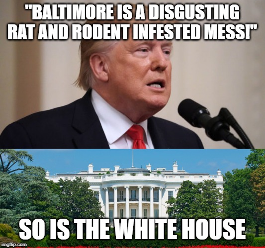 "BALTIMORE IS A DISGUSTING RAT AND RODENT INFESTED MESS!"; SO IS THE WHITE HOUSE | image tagged in donald trump,disgusting | made w/ Imgflip meme maker