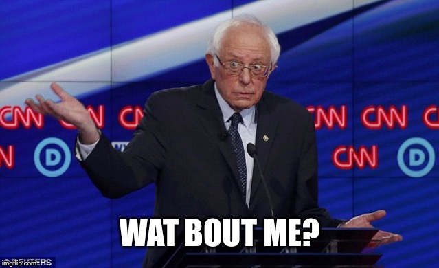 Wat Bernie | WAT BOUT ME? | image tagged in wat bernie | made w/ Imgflip meme maker