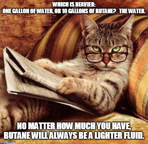 Smart Cat | WHICH IS HEAVIER: ONE GALLON OF WATER, OR 10 GALLONS OF BUTANE?   THE WATER. NO MATTER HOW MUCH YOU HAVE, BUTANE WILL ALWAYS BE A LIGHTER FLUID. | image tagged in smart cat | made w/ Imgflip meme maker