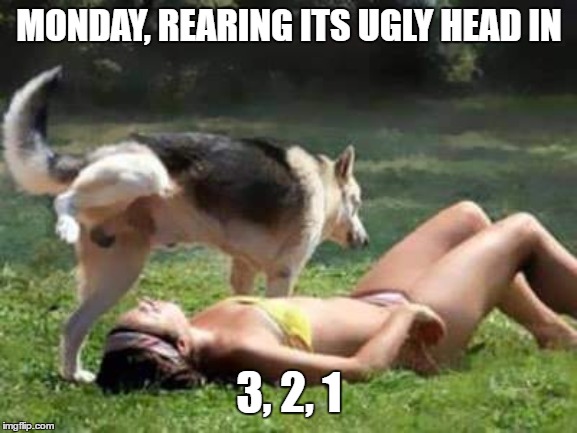 Monday, monday, be good to me. | MONDAY, REARING ITS UGLY HEAD IN; 3, 2, 1 | image tagged in monday,i hate mondays,random,dog | made w/ Imgflip meme maker