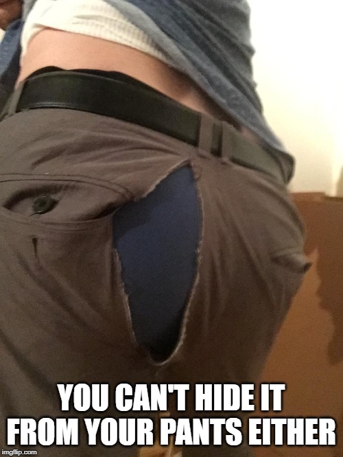 YOU CAN'T HIDE IT FROM YOUR PANTS EITHER | made w/ Imgflip meme maker