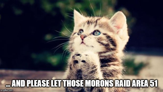 I'll be in a lawn chair with a cooler of beer egging them on. | … AND PLEASE LET THOSE MORONS RAID AREA 51 | image tagged in cute kitten,storm area 51,stupid people,funny memes,aliens,facebook | made w/ Imgflip meme maker