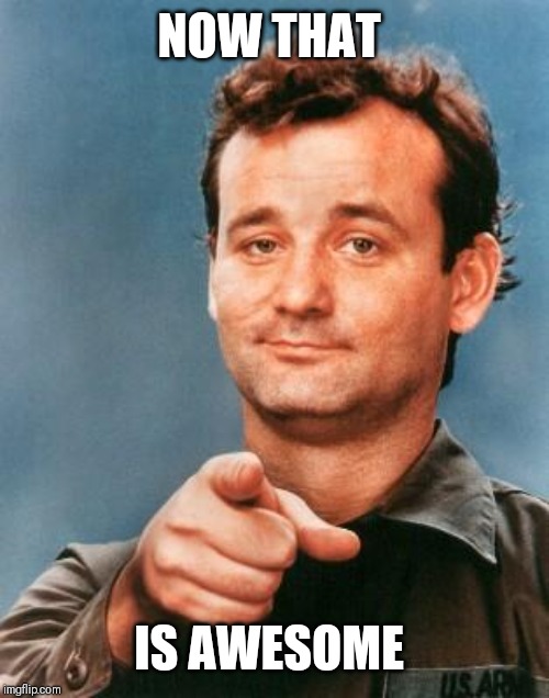 Bill Murray You're Awesome | NOW THAT IS AWESOME | image tagged in bill murray you're awesome | made w/ Imgflip meme maker