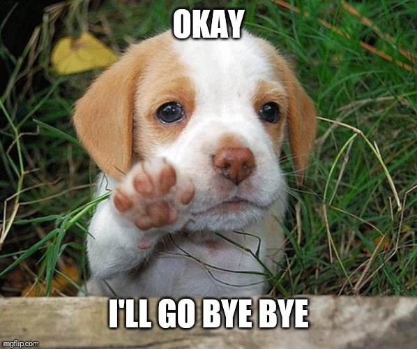 dog puppy bye | OKAY I'LL GO BYE BYE | image tagged in dog puppy bye | made w/ Imgflip meme maker