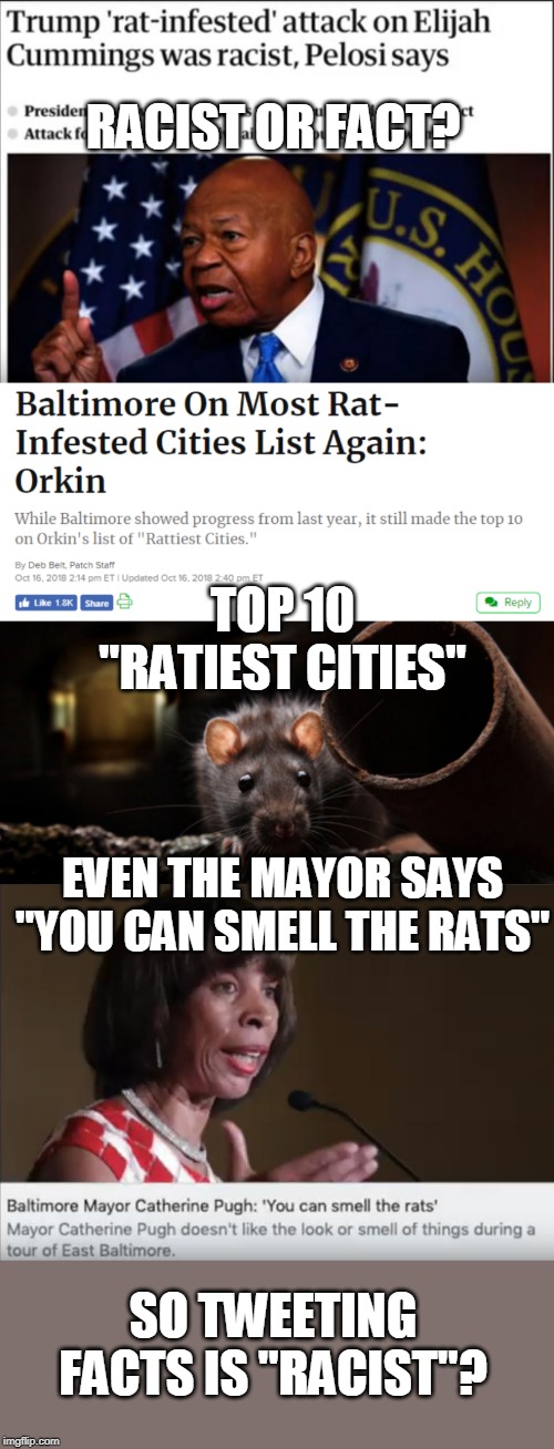 WHAT THE HELL IS WRONG WITH LIBERALS THESE DAYS? | RACIST OR FACT? TOP 10 "RATIEST CITIES"; EVEN THE MAYOR SAYS "YOU CAN SMELL THE RATS"; SO TWEETING FACTS IS "RACIST"? | image tagged in liberal logic,libtards,nancy pelosi,rats | made w/ Imgflip meme maker