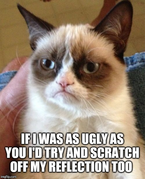 Grumpy Cat Meme | IF I WAS AS UGLY AS YOU I'D TRY AND SCRATCH OFF MY REFLECTION TOO | image tagged in memes,grumpy cat | made w/ Imgflip meme maker