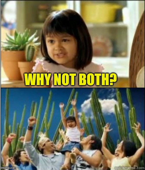 Why not both? | WHY NOT BOTH? | image tagged in why not both | made w/ Imgflip meme maker