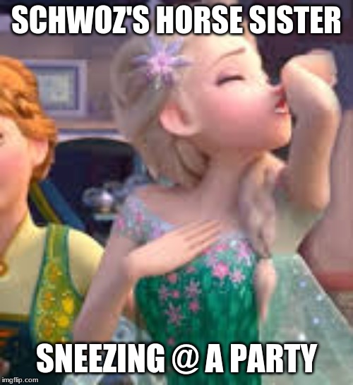 SCHWOZ'S HORSE SISTER; SNEEZING @ A PARTY | image tagged in funny meme | made w/ Imgflip meme maker