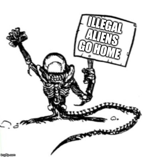 illegal alien | ILLEGAL ALIENS GO HOME | image tagged in illegal alien | made w/ Imgflip meme maker