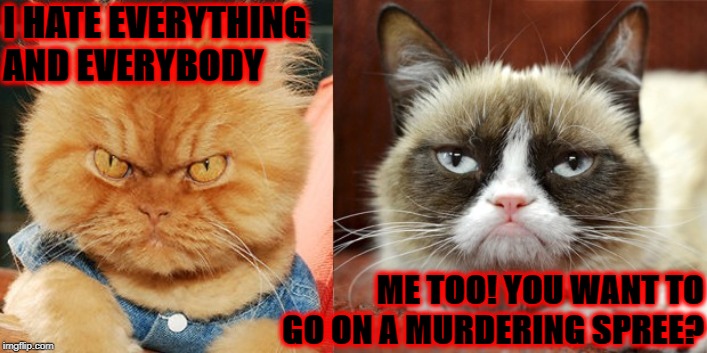 I HATE | I HATE EVERYTHING AND EVERYBODY; ME TOO! YOU WANT TO GO ON A MURDERING SPREE? | image tagged in i hate | made w/ Imgflip meme maker