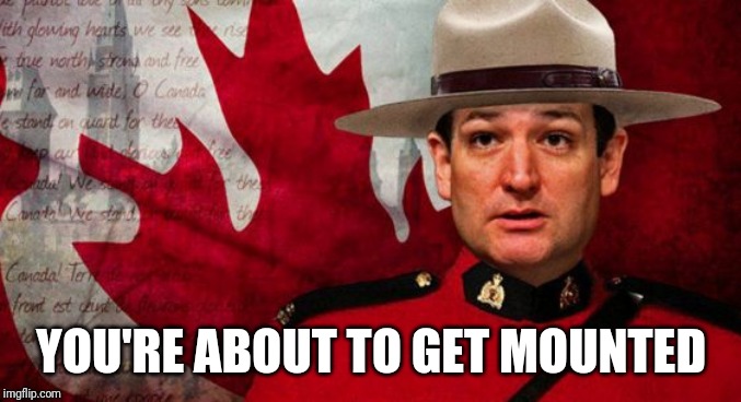 Ted Cruz Mountie | YOU'RE ABOUT TO GET MOUNTED | image tagged in ted cruz mountie | made w/ Imgflip meme maker