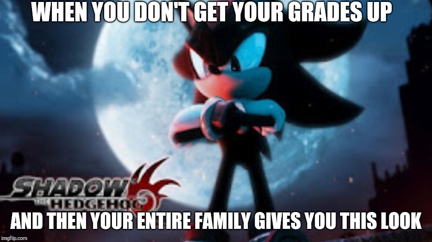 No one likes this situation | WHEN YOU DON'T GET YOUR GRADES UP; AND THEN YOUR ENTIRE FAMILY GIVES YOU THIS LOOK | image tagged in shadow the hedgehog | made w/ Imgflip meme maker