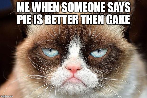 Grumpy cat glare | ME WHEN SOMEONE SAYS PIE IS BETTER THEN CAKE | image tagged in grumpy cat glare | made w/ Imgflip meme maker