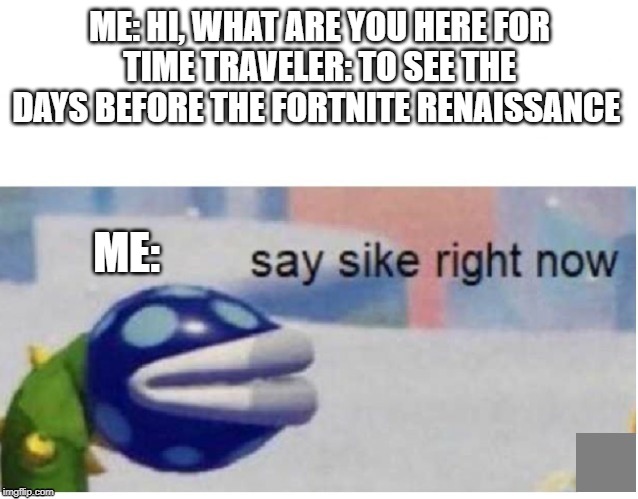 No one. Literally No One. | ME: HI, WHAT ARE YOU HERE FOR
TIME TRAVELER: TO SEE THE DAYS BEFORE THE FORTNITE RENAISSANCE; ME: | image tagged in say sike right now,random dumb meme | made w/ Imgflip meme maker